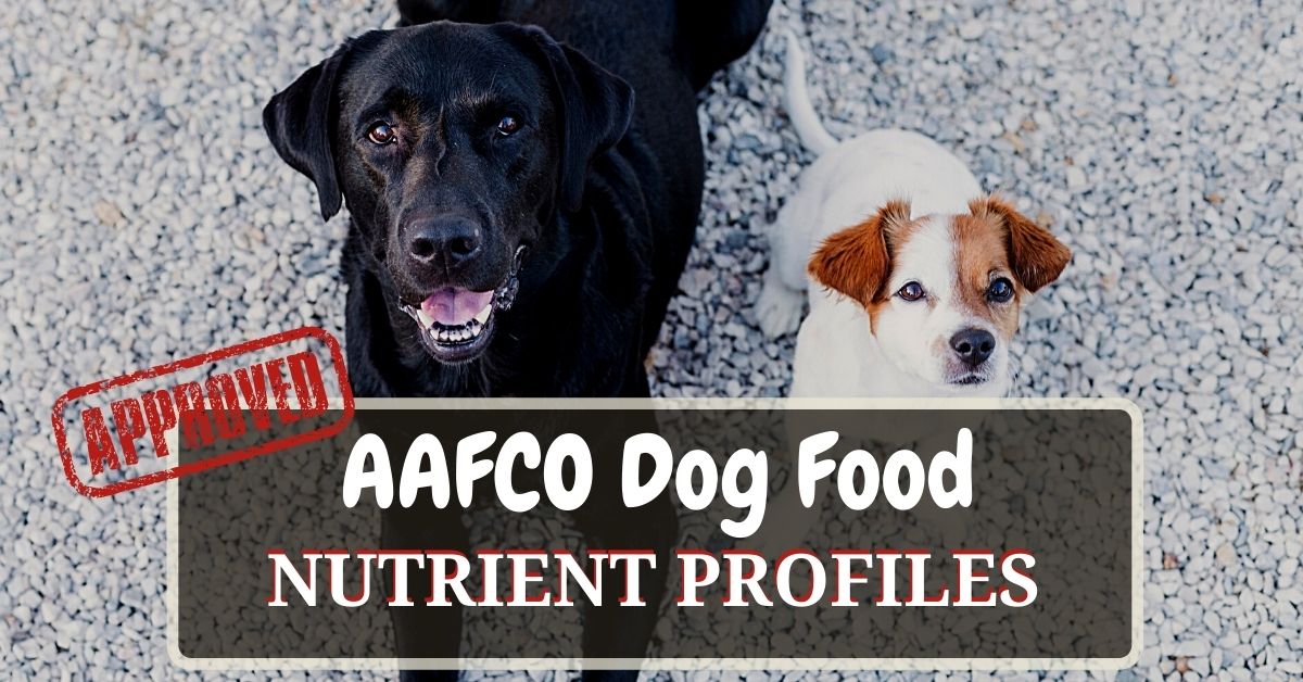 AAFCO Dog Food Nutrient Profiles What Are They All About? Dog Food