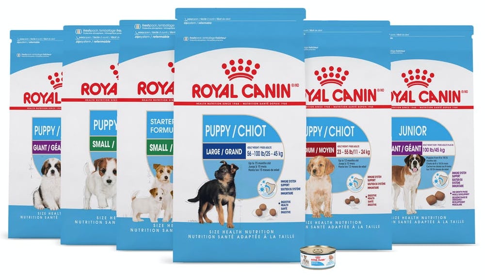 Royal Canin Dog Food Review Ratings Recalls Dog Food Haven