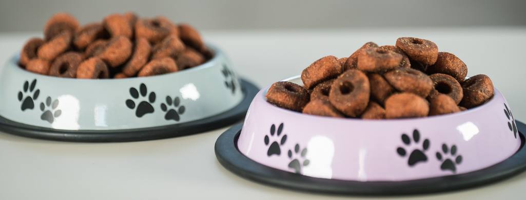 dry dog food in metal bowls